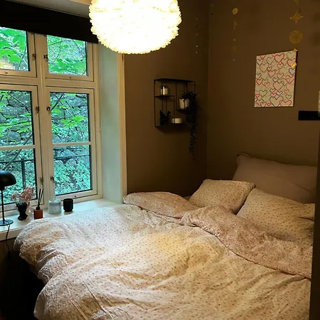 Modern In The Center Of * 卑爾根